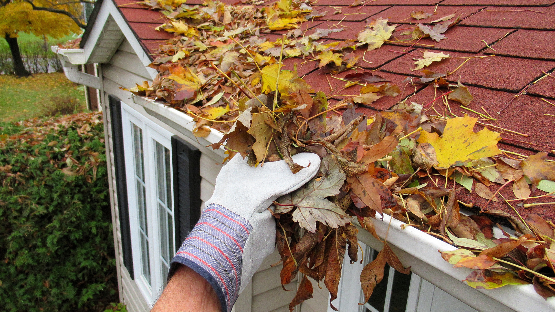 fall maintenance checklist - cleaning fall leaves from the gutter