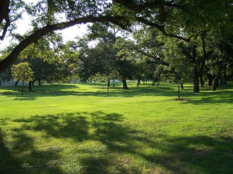 cameron park